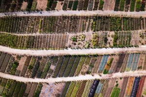 Agricultural Drone Services