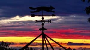 Highest Rated Drones 3