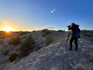 Best Drone For Wildlife Photography