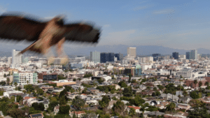 Drones With High Range