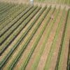 Drone Monitoring Agriculture 4