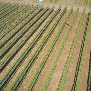 Drone Monitoring Agriculture 4