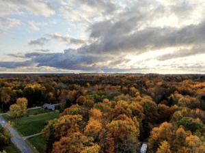 Drone Over Forest 2