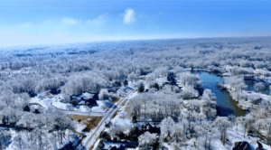 Drone Over Forest 3