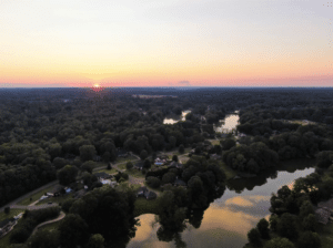 Drone Over Forest