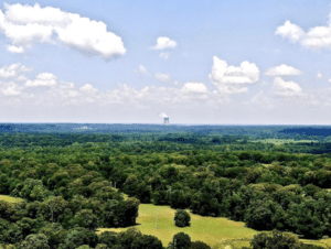Drone Over Forest 4