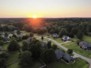 Drone Over Forest 5