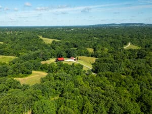 Drones In Forestry 2