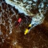 Aerial Views of Boating and Water Sports Adventures