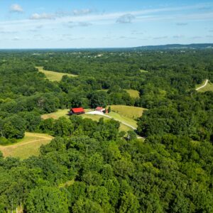 drone for forest monitoring