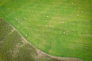 Field-1730116491