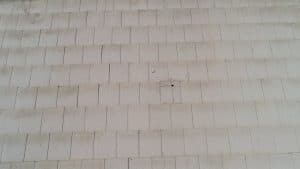 Roofing_inspection_1-1-1730822535