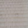 Roofing_inspection_1-1-1730822535