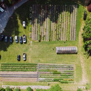 Drone Photogrammetry Services in TN by Drone Link
