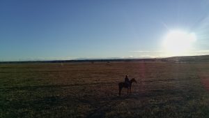 100DRONE_SINR0021_20241231160807-1736532522