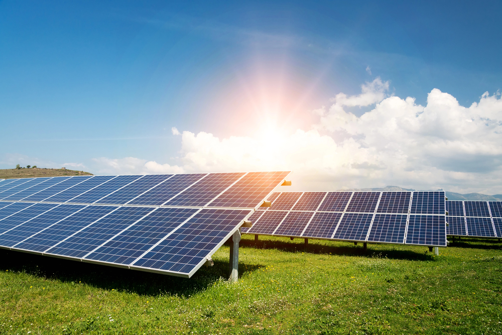 Dronevet Solar Farm And Solar Panel Inspections Services