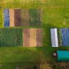 DJI_0103