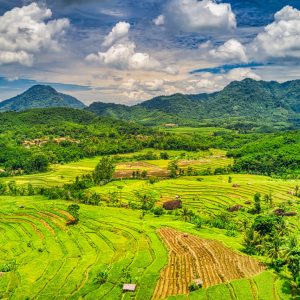 Beautiful Nature Photography in Georgia By Ghost Drone Services