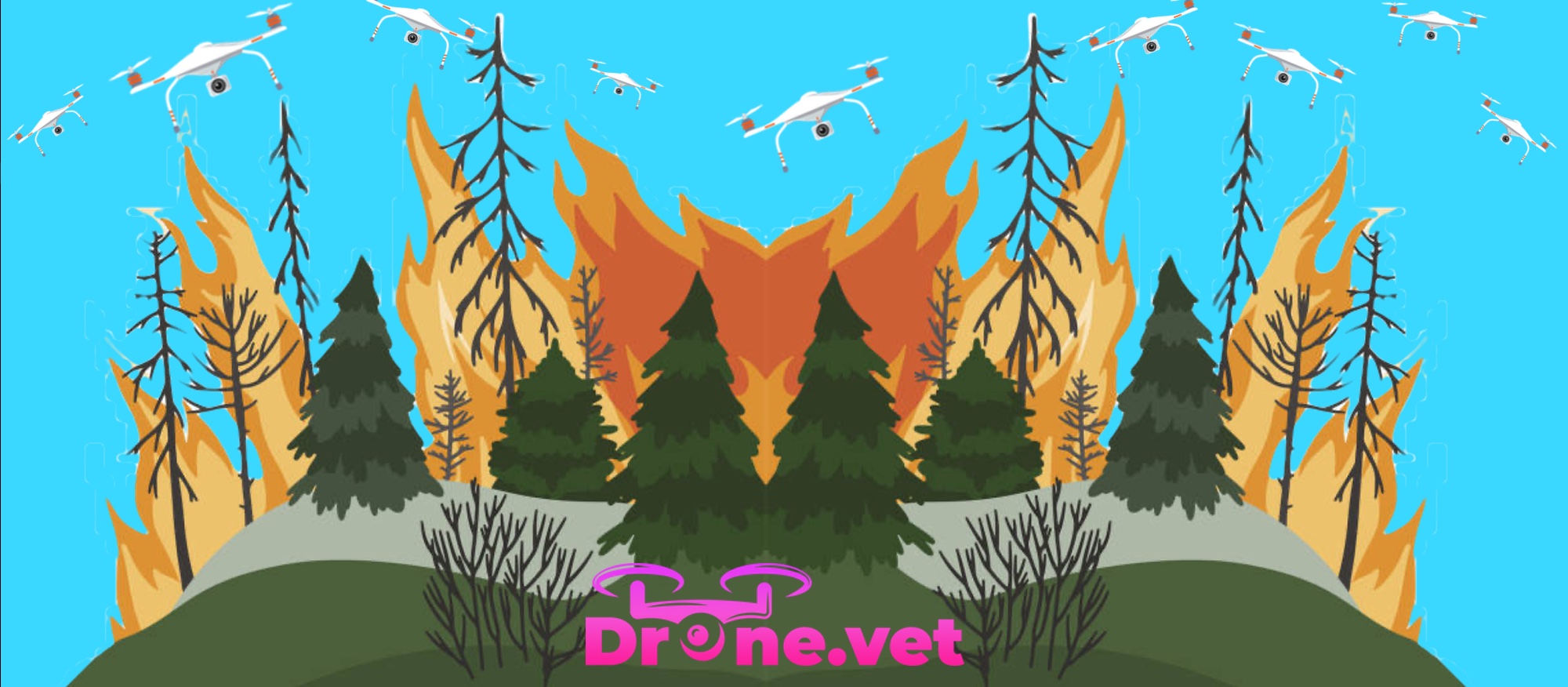 Drone Technology in Wildfire Prevention: Advanced Fire Risk Assessment Methods