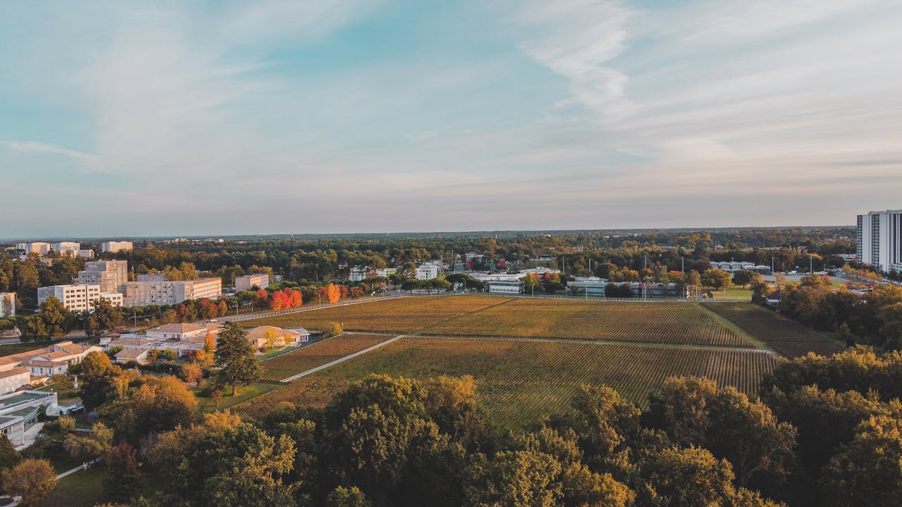 Drone videography by Flying Dog Images