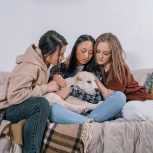 Pet recovery services in Pennsylvania using drone technology for efficient animal rescue.