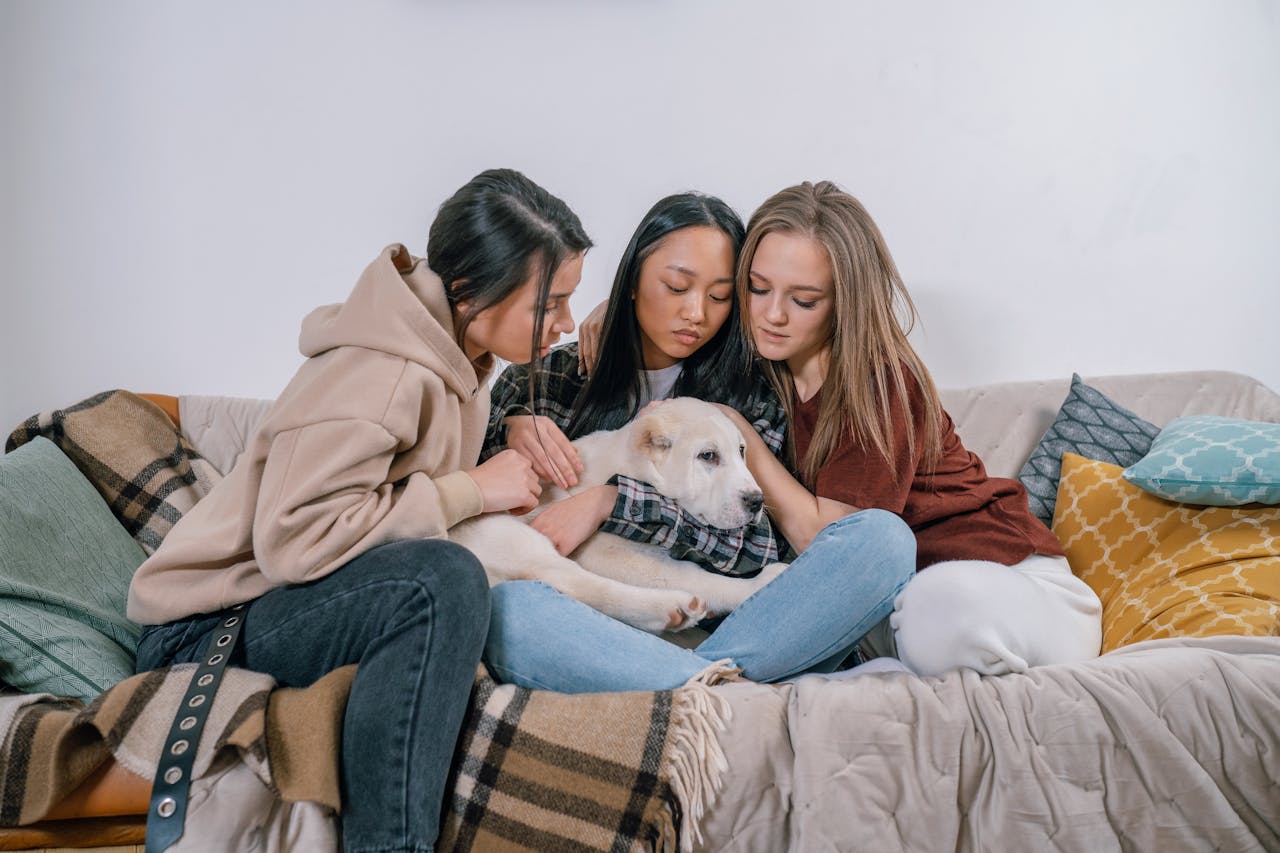 Pet Recovery Services in Pennsylvania by NEPA DRONE