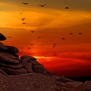 Twilight photography showcasing virtual tours in Woodinville, WA by Jerod Beeson.