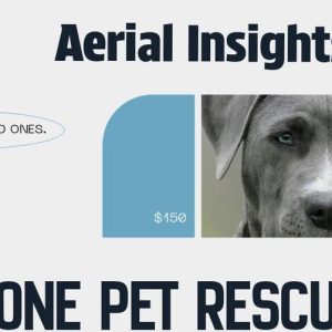 Pet Search and Recovery using drone in Ohio by Aerial Insights LLC