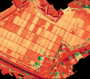 Precision agriculture and land management in Hawaii using advanced drone technology.