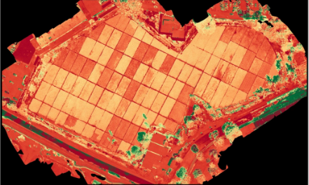 Cutting-Edge Precision Agriculture & Land Management  in Hawaii by Hawaii Pacific Drone Solutions