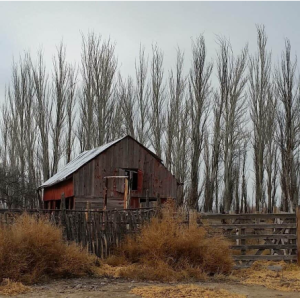 Topographic surveying map of Texas by Crowley Surveying shows detailed land contours.