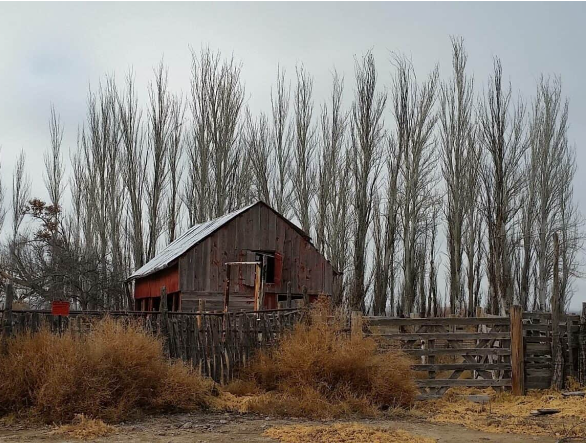 Topographic Surveying  in Texas by Crowley Surveying