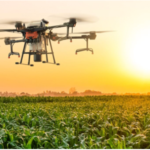 Drones conducting agricultural inspections enhance crop monitoring and data analysis efficiency.