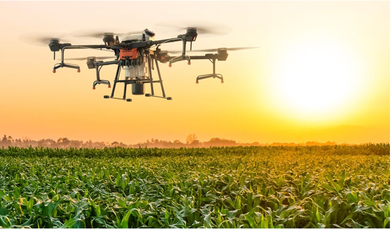 Agriculture  in Florida by Soarin Drone Services, LLC