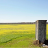 Alabama Agricultural Silo Amid Golden Wildflowers