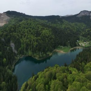 Aerial view of mountain lake surrounded by lush evergreen forest.