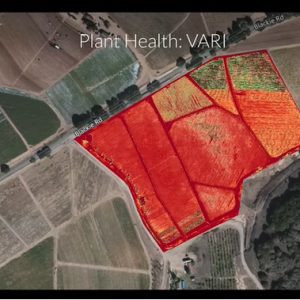 Agricultural Inspections in Washington by Teslas Drones
