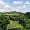 Wooden Bridge Over Lush Forest Valley
