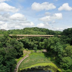 Wooden bridge spanning lush green forest landscape under blue sky.