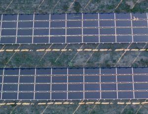 Aerial View of Expansive Solar Farm