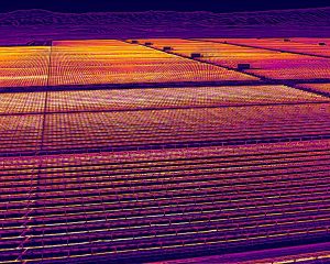 Thermal Infrared Crop Rows on Rolling Farmland