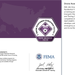 Drone Assessment and Response Tactics