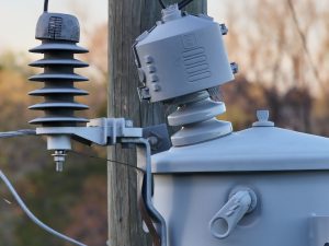 Pole-Mounted Transformer and Insulator in Nature