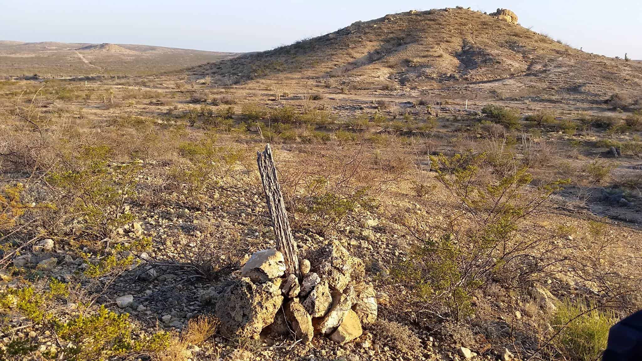 Professional Boundary Surveying & Property Line Staking