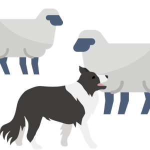 Herd Control