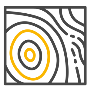 Topographic Survey