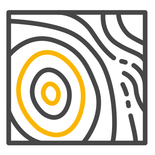 Topographic Survey