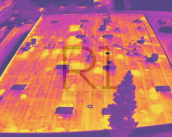 Thermal Roof Scan in San Bernardino, California