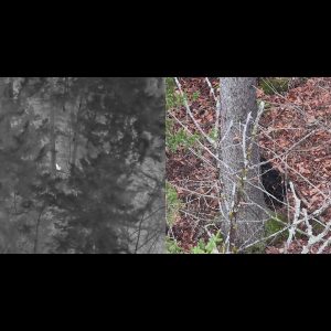 Thermal Drone Search & Lost Pet Recovery in Hyde Park, Vermont